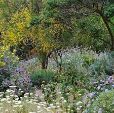 Society Of Garden Designers On Instagram Don T Miss The Sgd Spring Conference On 27th April Where French Plantsman Olivier Filippi Will Talk About His Special