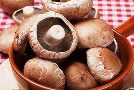 A mushroom kit can help you grow your favorite varieties at home. How To Grow Portobello Mushrooms From Store Bought Gardening Dream