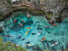 Please Search Again Places To Travel Florida Travel Places To Visit