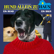 So ist es bis heute, denn auch wochenlanges üben mit zuerst fünf, dann zehn, dann fünfzehn minuten alleine sein nutzten nichts. Hund Allein Zu Haus Online Seminar Zum Alleine Bleiben The Big Foot Way