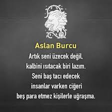 Feyza Su Adli Kullanicinin Her Sey Panosundaki Pin Burclar Aslan Guzel Soz