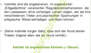 Gerade zu beginn, wenn der körper erst wieder lernen muss, ruhe zu finden, kann es sinnvoll sein, mittel gegen innere unruhe einzunehmen. Erklaren Sie Den Begriff Instinkt Thenert Fragen Repetico