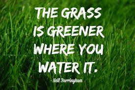 If by any chance you spot an inappropriate comment while navigating through our website please use this form to let us know, and we'll take care of it shortly. Quote Of The Day The Grass Is Greener Usap Group