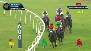 Image result for Handic 009