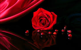 Follow the vibe and change your wallpaper every day! 66 Black Red Background