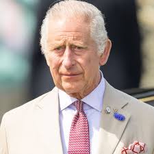 Community and Home Health Nursing (Lippincott's Review Series)|Allender.