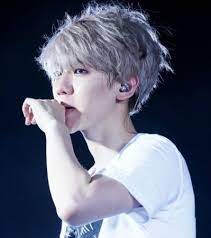 Baekhyun Exo Gray Hair Baekhyun Exo Baekhyun Chanyeol