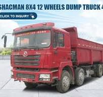 China Shacman F3000 8*4 12 Wheel Euro 2 Biggest Dump Truck Heavy Dump Truck