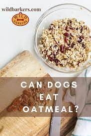 Pin On Can Dogs Eat