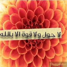 noor alsaleem on instagram كنز من كنوز الجنة ice tray novelty silicone molds