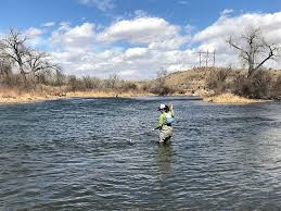 Old moe guide service dutch john, utah the best fly fishing trip!!! 5 Great Tailwaters To Fish As Temperatures Drop