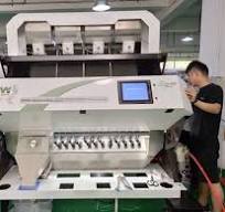 Legumes Color Sorting Machine with Flexem Humanized Touch ...