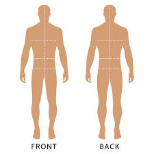 Here's the male human body drawn in front and back views. Human Body Outline Front And Back Cliparts Stock Vector And Royalty Free Human Body Outline Front And Back Illustrations
