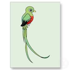 Resplendent Quetzal Cute Thank You Cards Drawing Sketches Letter A Crafts Create, share, and explore kaleidoscope & mandala drawings online, it's easy and fun! drawing sketches
