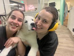 Contact — Spots & Brows