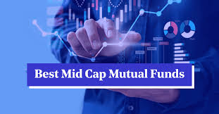The Best Mid-Cap Fund To Invest In 2021 - Shabbir Bhimani