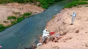 For faster navigation, this iframe is preloading the wikiwand page for pencemaran sisa kimia sungai kim kim 2019. Atm Petronas Bantu Kerajaan Tangani Isu Pencemaran Toksik