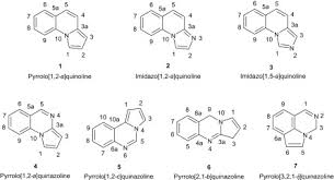 Image result for Anisotes sessiliflorus