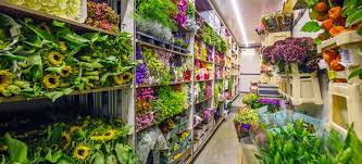 Maybe you would like to learn more about one of these? Travelling Shops Selling Fresh Flowers And Plants Heemskerk Flora B V
