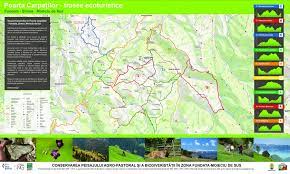 We are nature lovers, tourism experts and we adapt our tours all along the hikes, the views over moeciu valley, fundata, the bucegi and the piatra craiului mountain ranges are stunning! Trasee Ecoturistice