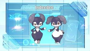 It's proud of its thick horn. Pokemon Of The Week Indeedee