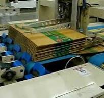 Flexo Folder Gluer In-line system