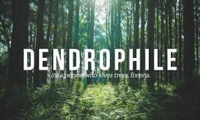 And My Best Friend S Name Means Wood In Gaelic It Means Church And The Narrows In Two Other Languages Weird Words Nature Quotes Rare Words