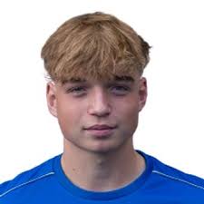 Profile Haris Hadzic, : Info, news, matches and statistics