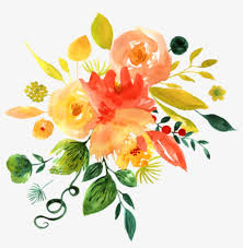 Once the plants are done flowering, cut back the foliage when it turns yellow. Ftestickers Watercolor Flowers Orange Yellow Yellow Watercolor Flowers Png Png Image Transparent Png Free Download On Seekpng