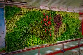 How to make a vertical garden at home. Vertical Garden Vertical Gardens Gardening Services In Melbourne Living Holmes Design