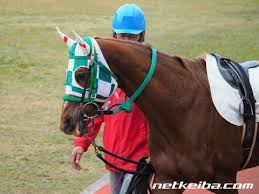 We did not find results for: ãƒœã‚¯ã‚¤ã‚±ãƒ¡ãƒ³ ç«¶èµ°é¦¬ãƒ‡ãƒ¼ã‚¿ Netkeiba Com