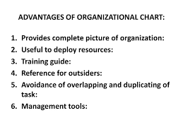 organization concept characteristics ppt download