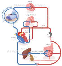 This condition is found in all ethnic groups; Chronische Entzundung Inflammatio Labor Diagnostik Und Fortbildungen Fur Arzte