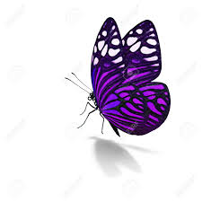 We did not find results for: Beautiful Colorful Butterfly Isolated On White Background Stock Photo Picture And Royalty Free Image Image 92149720