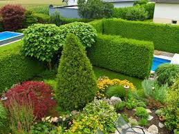 Ein grüner zaun als sichtschutz im garten bietet viel privatsphäre und da sie im gewächshaus gezüchtet werden, haben sie sofort eine grüne abgrenzung im garten. Sichtschutz Mit Hecken Kletterpflanzen Und Ziergrasern Selbermachen De