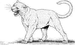 Some of the coloring pages shown here are face of lion drawing at getdrawings, sea lion drawing f. Pin On Embroidery