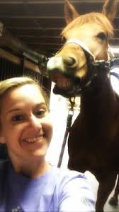 Strawberry the Horse