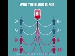 17 Blood Type Donation Flow Chart Blood Type Donation Flow
