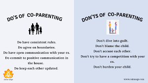 The arrival of a new baby is one of life's most joyful moments. What Is Co Parenting Tips For Sucessful Co Parenting