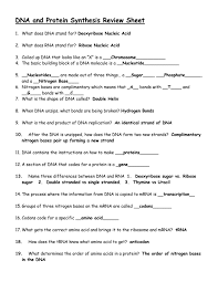 How many nucleotides make up a protein? Dna And Protein Synthesis Review Sheet