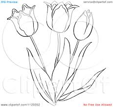 Tulip Black And White Clip Art Background 1 Hd Wallpapers Broderie Fleurs Dessin Fleurs