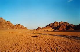A mountain in sinai peninsula; Deserto Del Sinai Picture Of Sharm El Sheikh South Sinai Tripadvisor