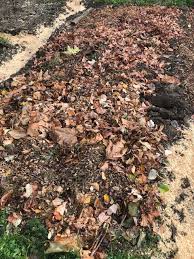 Engrais Naturels Choix Et Dosages Engrais Naturel Potager Jardinage Potager