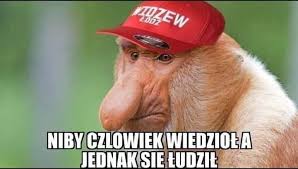 Egzamin ósmoklasisty 2020 z matematyki memy po egzaminie ósmoklasisty z matematyki można znaleźć w internecie wiele memów. Memy Po Meczu Widzew Puszcza Fani Tesknia Za Kaczmarkiem Najbardziej Krytyczne Komentarze Dziennik Lodzki