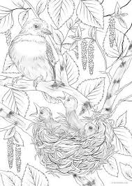 Large details and bright contours will help any child with coloring. Pin On Coloriage