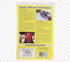 Results updated daily for maggots pest control Walnut Tree