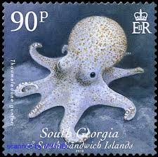 South Georgia South Sandwich Islands 2010 Cephalopods Stamp Collecting Postal Stamps Postage Stamps