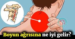 Boyun Agrisi Nasil Gecer Iste Cevabi Family Guy Anime Fictional Characters