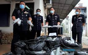 Ibu pejabat polis kontinjen perak. Bernama Polis Tahan Tiga Lelaki Bongkar Dua Rumah Dijadikan Stor Proses Ketum