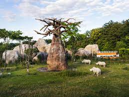 kinderregion zoo zurich